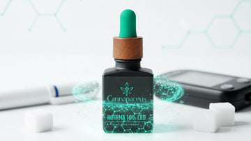 CBD aliejus Cannapaceus 10% ir gliukozės matuoklis – natūrali pagalba sergant diabetu.