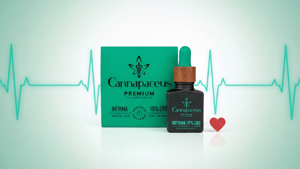 CBD ir kraujospūdis (hipertenzija): ką rodo tyrimai ir kaip tai gali paveikti širdies sveikatą?
