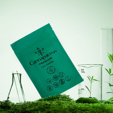 Cannapceus - CBD pleistrai ant sąmanų apsuptas kolbomis.