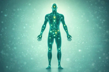 Kas yra endokanabinoidinė sistema?