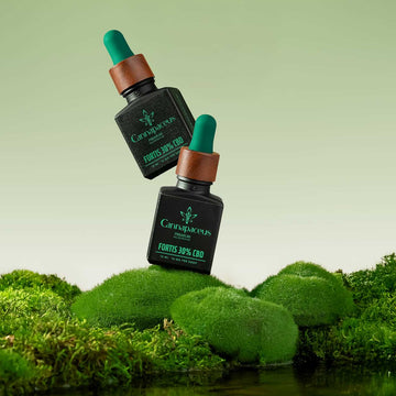 Cannapaceus CBD aliejus 30% – du buteliukai ant žalios samanų paklotės, natūralus produktas iš gamtos