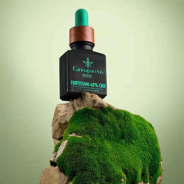 Cannapaceus CBD aliejus 40% – buteliukas ant akmens su samanomis, stiprus ir natūralus produktas