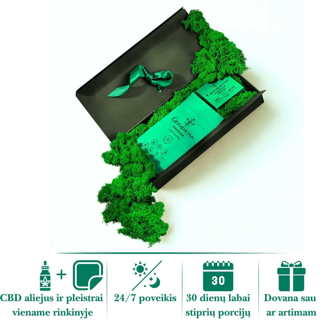 CBD rinkinys Cannapaceus – 30% aliejus ir CBD pleistrai vienoje dėžutėje, pritaikyta naudoti 24/7, 30 dienų kursui, tinka dovanai sau ar artimam