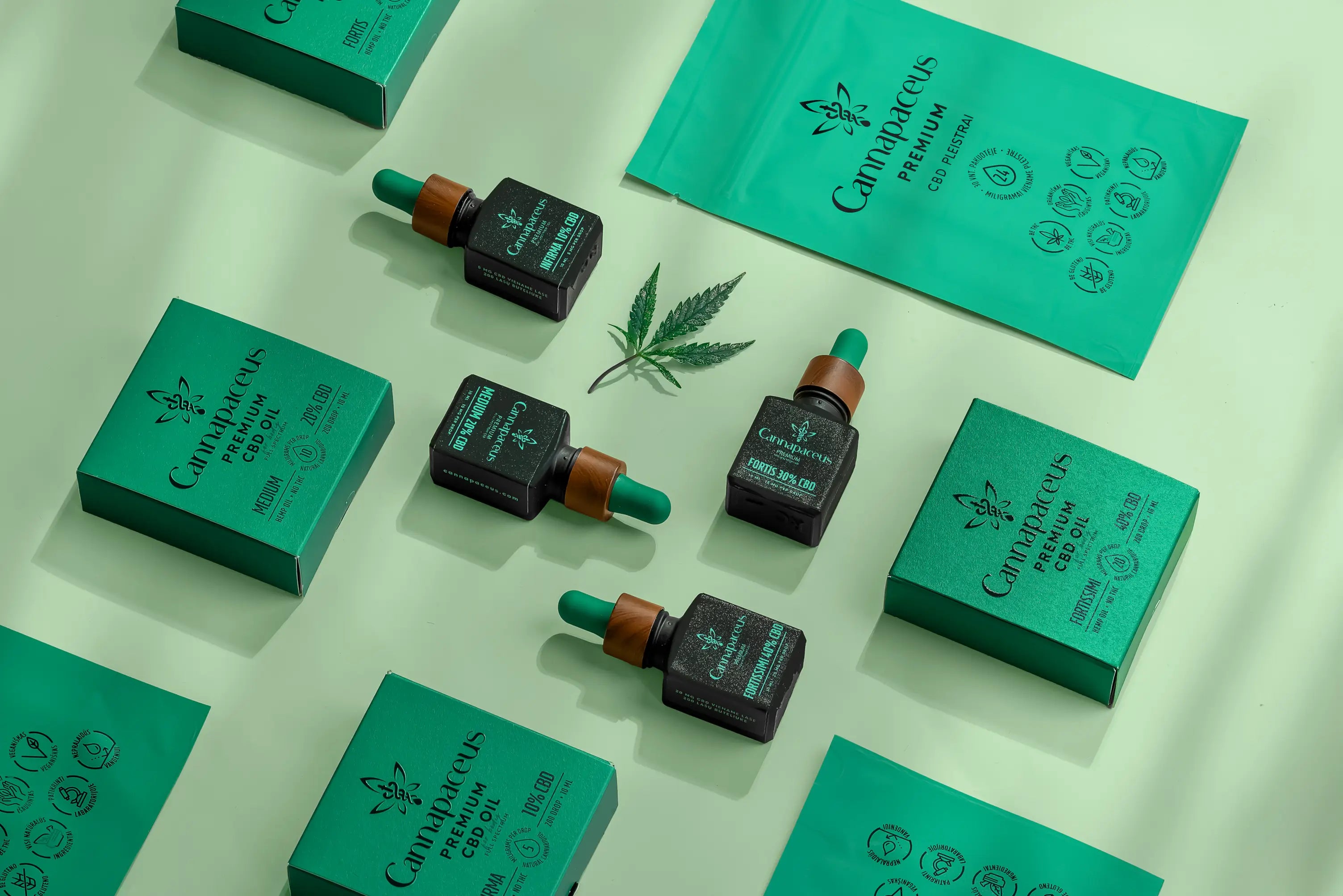 Canapacius CBD aliejaus produktų rinkinys su žaliomis dėžutėmis, pipetėmis ir pakuotėmis, išdėliotas ant šviesiai žalio fono, matoma kanapių lapo dekoracija.1621243260e1af0c20-0